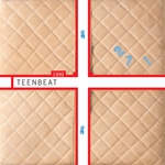 1999 Teen-Beat Sampler album