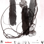 hollAnd Sodium Fawn album